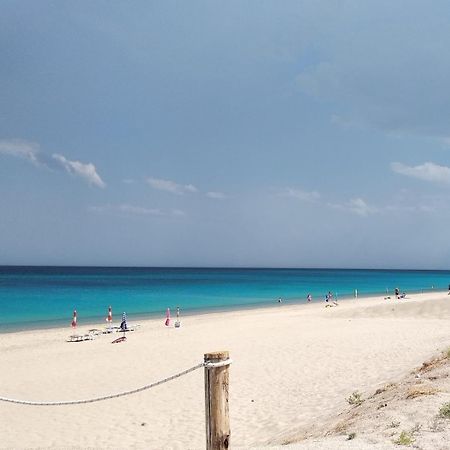 Aquamarine Residence ดาโวลิ ภายนอก รูปภาพ